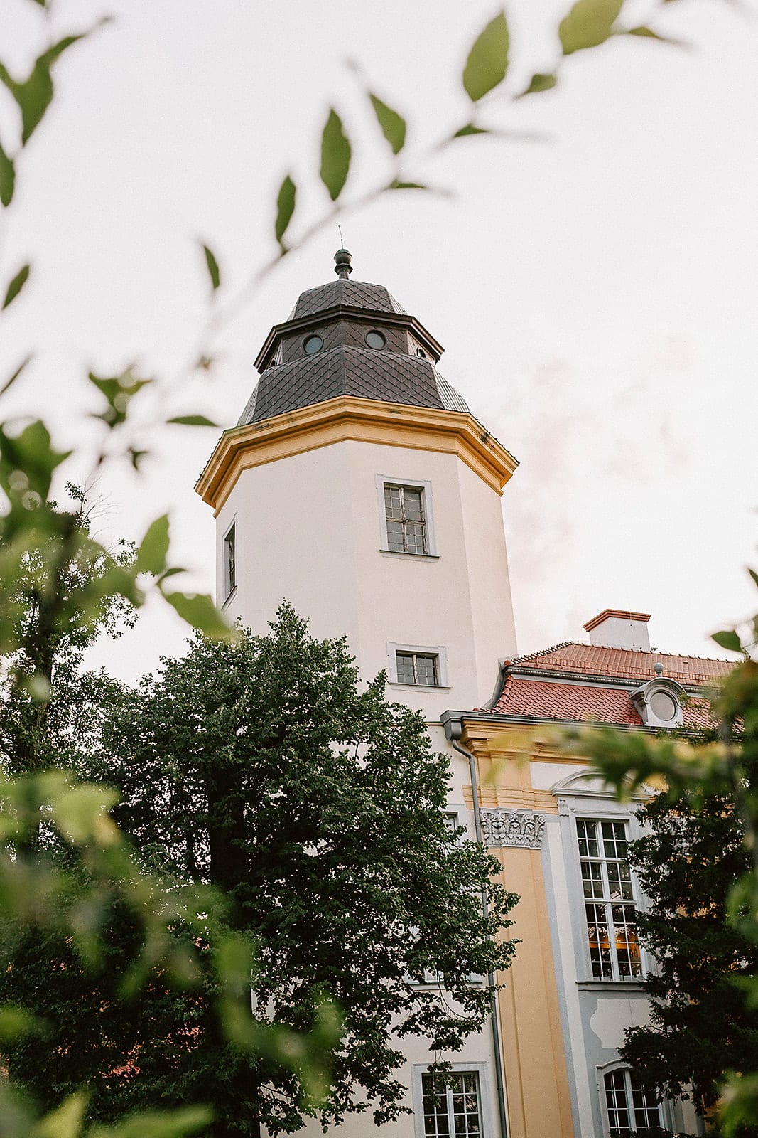 Wieża Zamku Książ porośnięta bluszczem