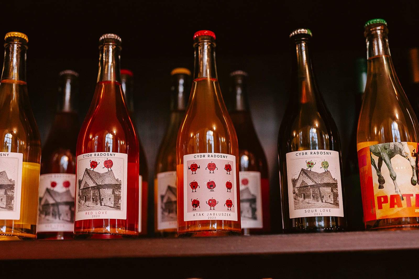Kolekcja win naturalnych na półce winoteki